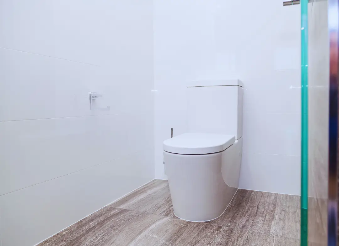 Remplacement de wc Boves